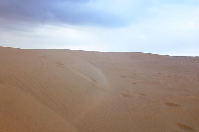 4 Days Tour In Doha | City Tour | North Tour | Desert Safari | West Tour - Day four: Camels and the stark west