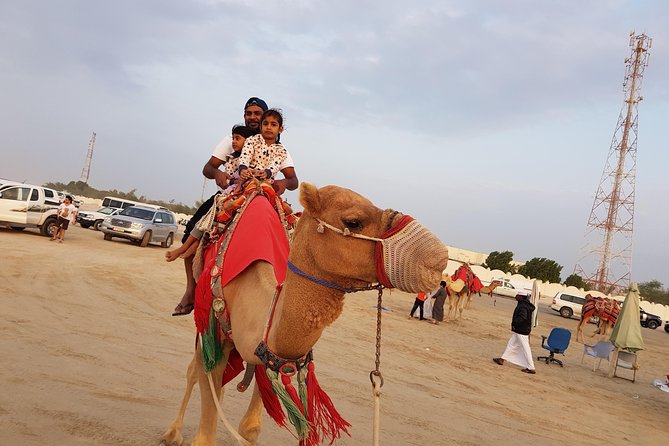 4 Hour Desert Safari, Camel Ride & Inland Sea Beach - The Inland Sea, where the sand reaches the water