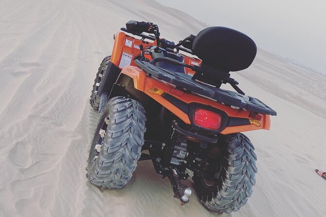 4 Hour Desert Safari, Camel Ride & Inland Sea Beach - Who will enjoy this safari most