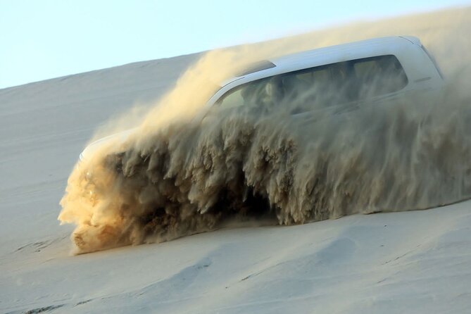 4 Hour Doha Desert Safari Tour - From Doha hotels to Sealine Beach