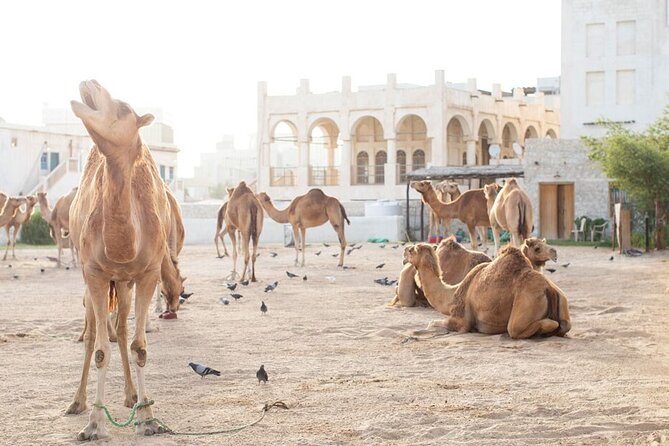 4-Hour Private Group City Tour in Doha, Qatar - Souq Waqif: one hour in old Doha