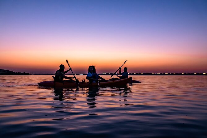 4 Hours Purple Island Mangroves Kayaking Adventure in Qatar - Is $120 a fair price?