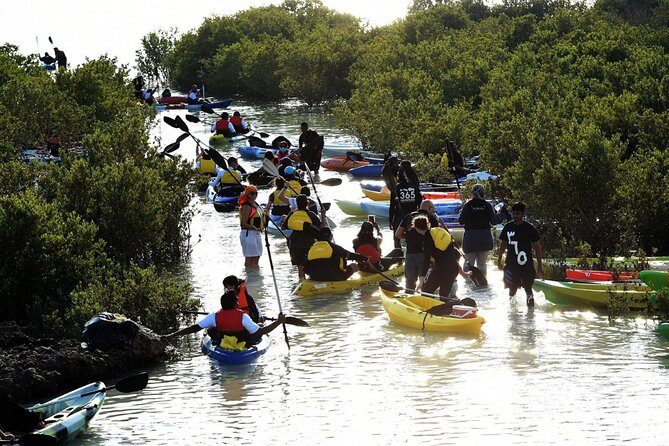 4 Hours Purple Island Mangroves Kayaking Adventure in Qatar - Wildlife, photography, and the right expectations