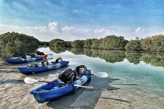 4 Hours Purple Island Mangroves Kayaking Adventure in Qatar - Who should book this kayaking experience?