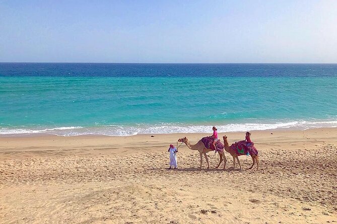 4hr Desert Safari: Sunset,Sunrise,Camel,Sand boarding,Inland Sea - The 4WD ride across Qatar’s high dunes