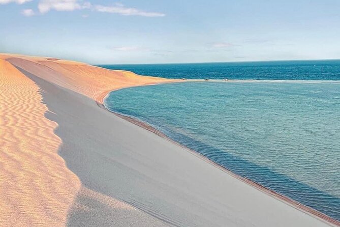 4hr Desert Safari: Sunset,Sunrise,Camel,Sand boarding,Inland Sea - Should you book the Monster Adventures Qatar tour?