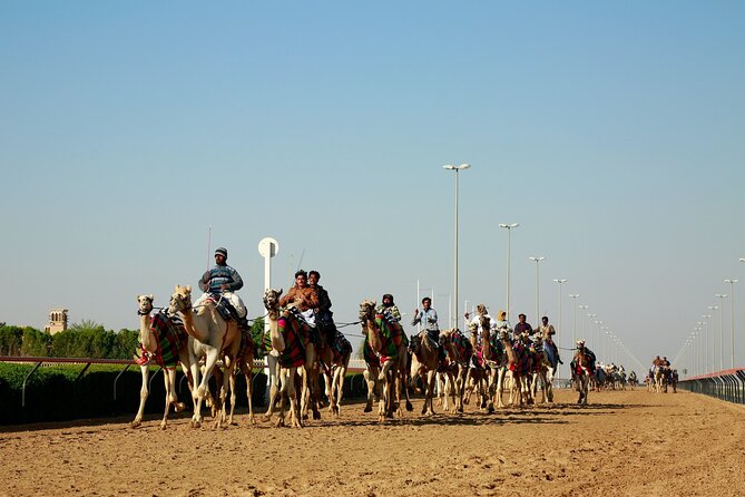 8 Hours Private Combo Doha City and West of Qatar Tour - Al Shahaniya and the camel racetrack