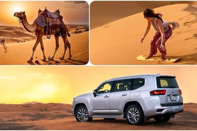 Camel Safari in Desert with Pickup and Drop off in Doha - What the desert ride actually gives you