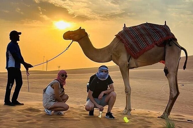 Camel Safari in Desert with Pickup and Drop off in Doha - Is $185 a fair price?