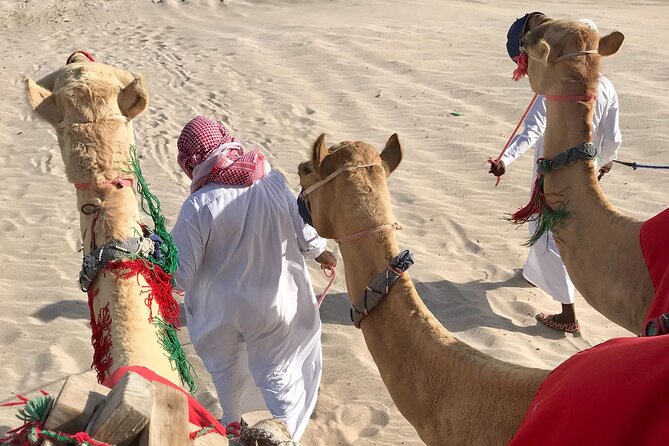 Camel trekking on the Dunes with Sunset - Who will enjoy this most
