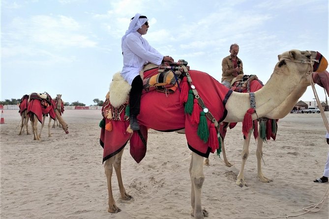 Combo Culture & Adventure: North Qatar Heritage & Desert Safari - A full-day contrast between Qatar’s coast and desert