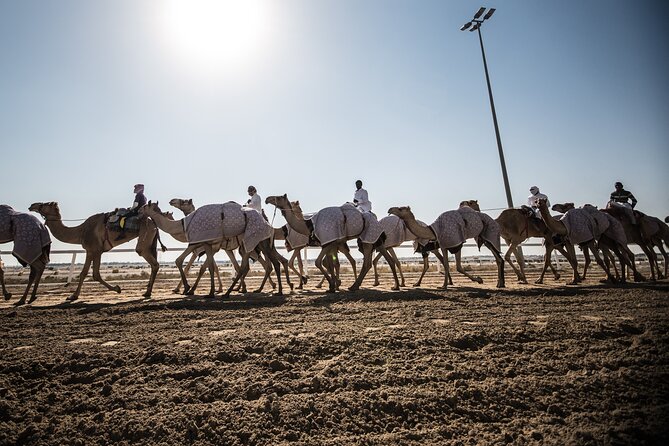 Combo West and North of Qatar Tour - Ash-Shahaniyah and the camel-racing tradition