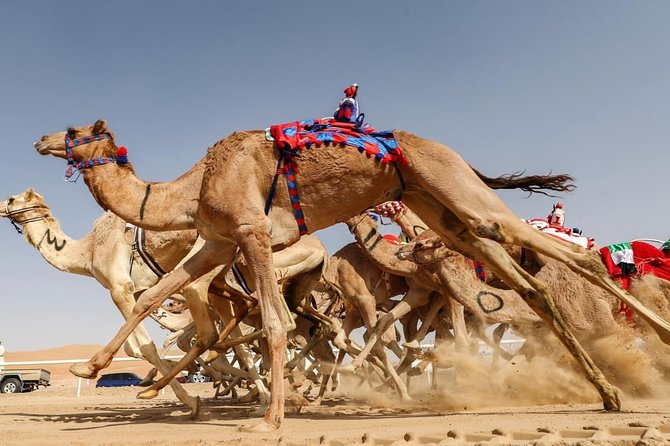 Cultural & Thrills: Sheikh Faisal Museum & Camel Race Adventure - Two hours inside Sheikh Faisal Museum
