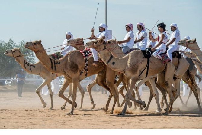 Cultural & Thrills: Sheikh Faisal Museum & Camel Race Adventure - Timing, comfort, and practical details