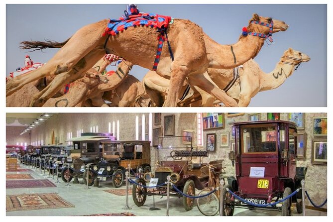 Cultural & Thrills: Sheikh Faisal Museum & Camel Race Adventure - Understanding camel racing at Al Shahaniya