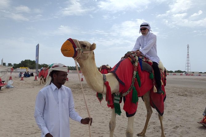 Desert Combo safari, Camel ride, Quad Bike and Dune Bashing(ALL INCLUSIVE) - Dune bashing across the Qatari desert