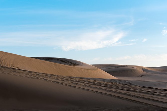 Desert Combo safari, Camel ride, Quad Bike and Dune Bashing(ALL INCLUSIVE) - What the guides add to the experience