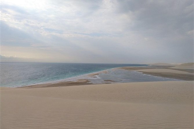 Desert Combo safari, Camel ride, Quad Bike and Dune Bashing(ALL INCLUSIVE) - Is this a good Doha layover activity?