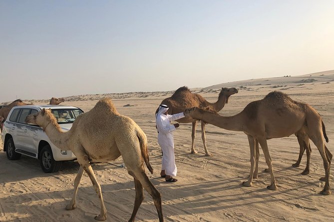 Desert Safari 7 Hours Tour with Dinner and Camp - The guides are a major part of the value