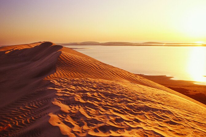 Desert Safari and Inland Sea(Private Tour) - From Doha to Mesaieed in an air-conditioned 4x4