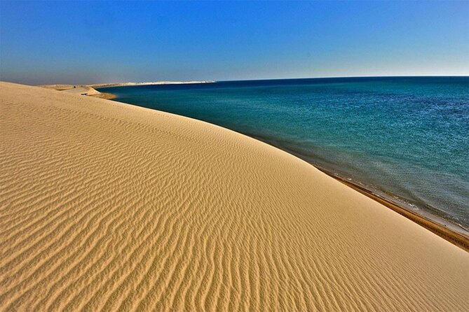 Desert Safari, Camel ride and Inland Sea Tour - Why the Inland Sea is worth the drive from Doha