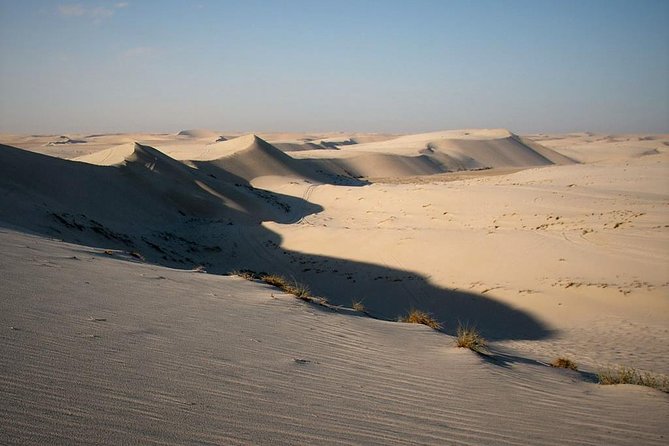 Desert safari, Dune bashing, sandboarding, camel, ATV Option - Sandboarding offers simple fun on the dunes