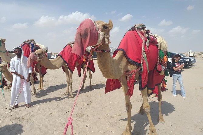 Desert safari, Dune bashing, sandboarding, camel, ATV Option - The return to Doha keeps the day manageable