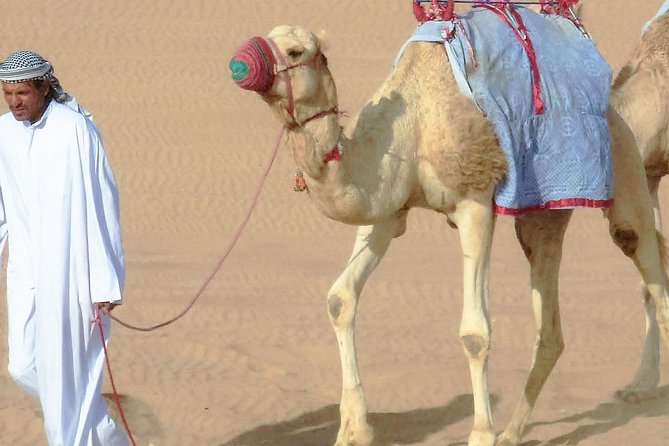 Desert safari, Dune bashing, sandboarding, camel, ATV Option - The camel stop is traditional, but short