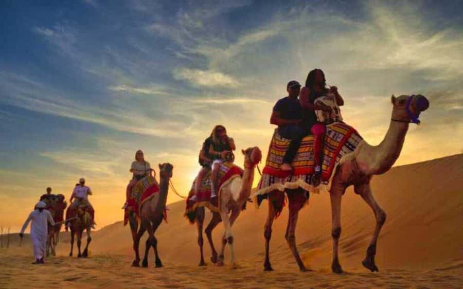 Desert Safari, Dunes Ride, Sand Boarding & Inland Sea Tour - Sandboarding without needing experience