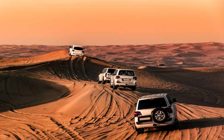 Desert Safari, Dunes Ride, Sand Boarding & Inland Sea Tour - Guides, languages, and the human side of the tour