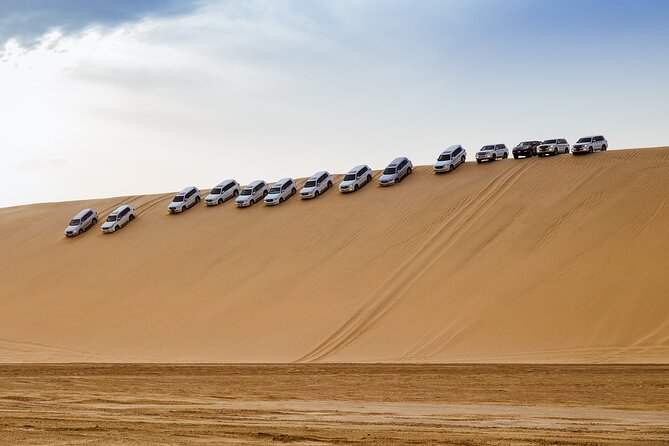 Desert Safari | Inland Sea | Half Day | Qatar | Doha - The camel ride question