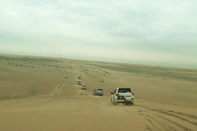 Desert safari Inland Sea Private Tour - Dune bashing with a practiced driver