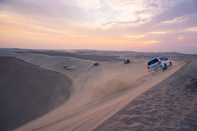 Desert Safari & Keshta | (Private) - Sealine Beach brings camels and falcons