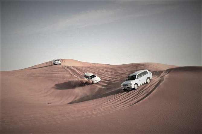 Desert Safari – Morning, Afternoon, Sunrise & Sunset Options - Sealine Beach marks the change of pace