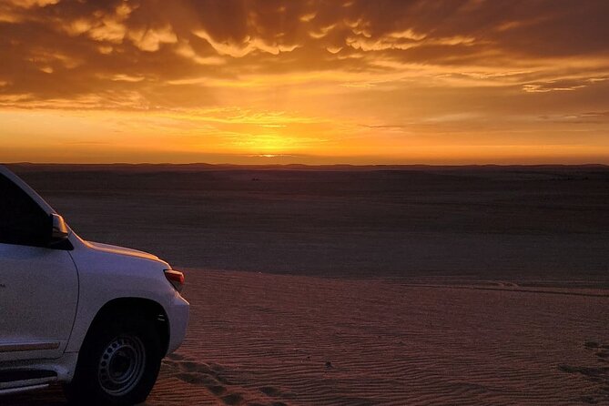 Desert Safari Qatar - Optional camel rides and quad bikes