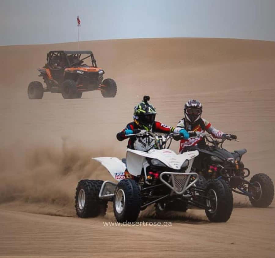 Desert Safari, Quad Bike, Camel Ride, Falcon & Sandboarding - A half-day escape from Doha