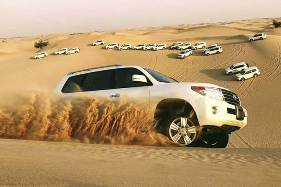 Desert Safari, Quad Bike, Camel Ride, Falcon & Sandboarding - The camel and falcon stop at Sealine