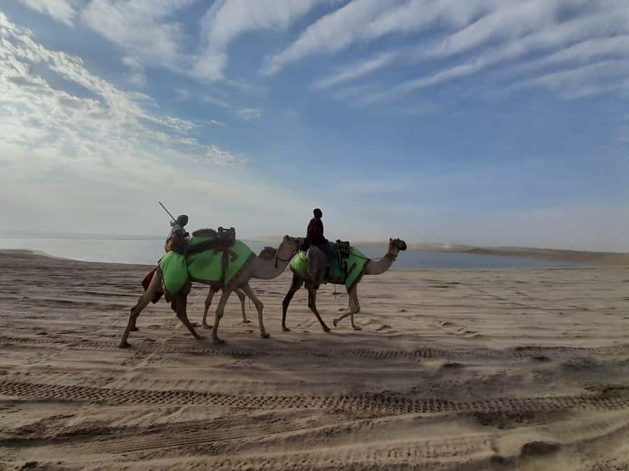 Desert Safari, Quad Bike, Camel Ride, Falcon & Sandboarding - Sealine Beach and the change from road to sand