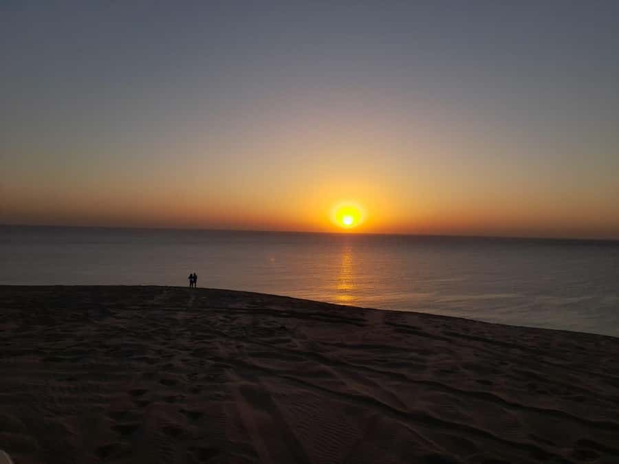 Desert Safari, Quad Bike, Camel Ride, Falcon & Sandboarding - Who should book this desert safari?