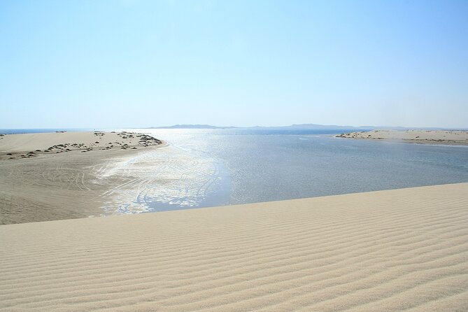 Desert Safari, Quad Bike, Sandboarding and Camel Ride - What to bring and what to expect