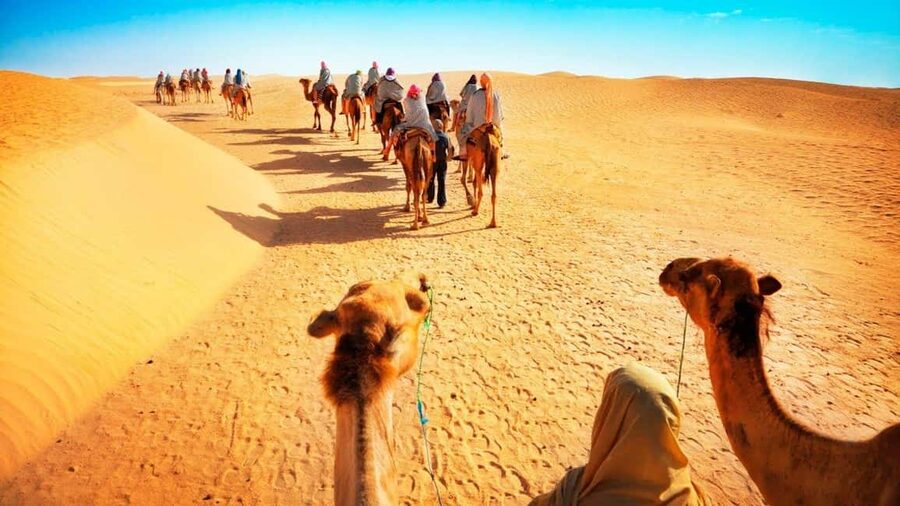 Desert Safari, QuadBike,Dune buggy, Sandboarding & CamelRide - Key points to know before booking