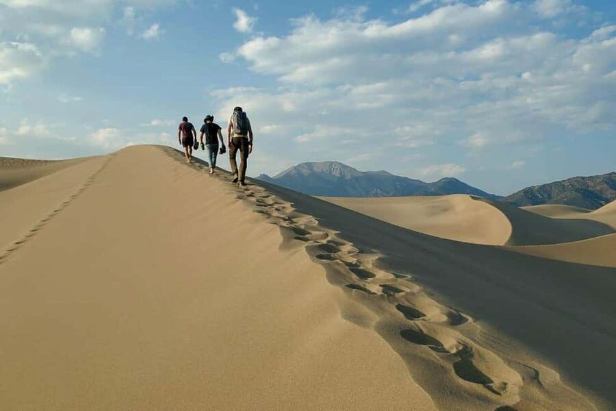 Desert Safari, QuadBike,Dune buggy, Sandboarding & CamelRide - Timing, comfort, and who should book