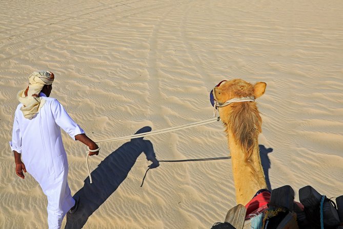 Desert Safari with Camel Ride, Sand Boarding & Inland Sea Tour in Doha - Morning or afternoon: choosing the better departure