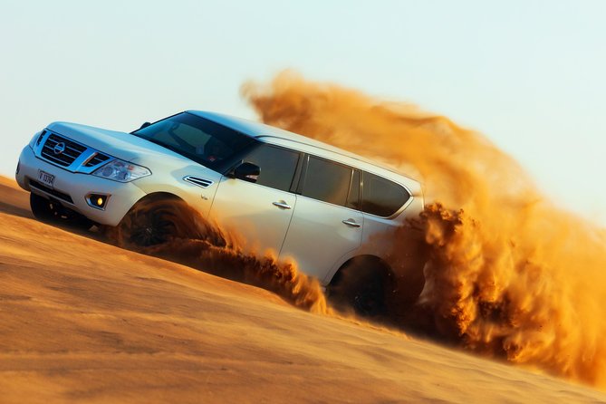 Desert Safari with Camel Ride, Sand Boarding & Inland Sea Tour in Doha - The camel stop: useful for photos, short on riding time
