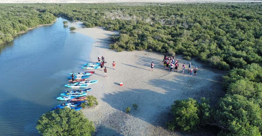 Discover Purple Island | Guided Mangrove Kayaking Experience - The 20-minute safety briefing