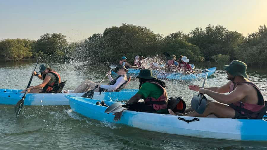 Discover Purple Island | Guided Mangrove Kayaking Experience - Paddling through the mangrove channels