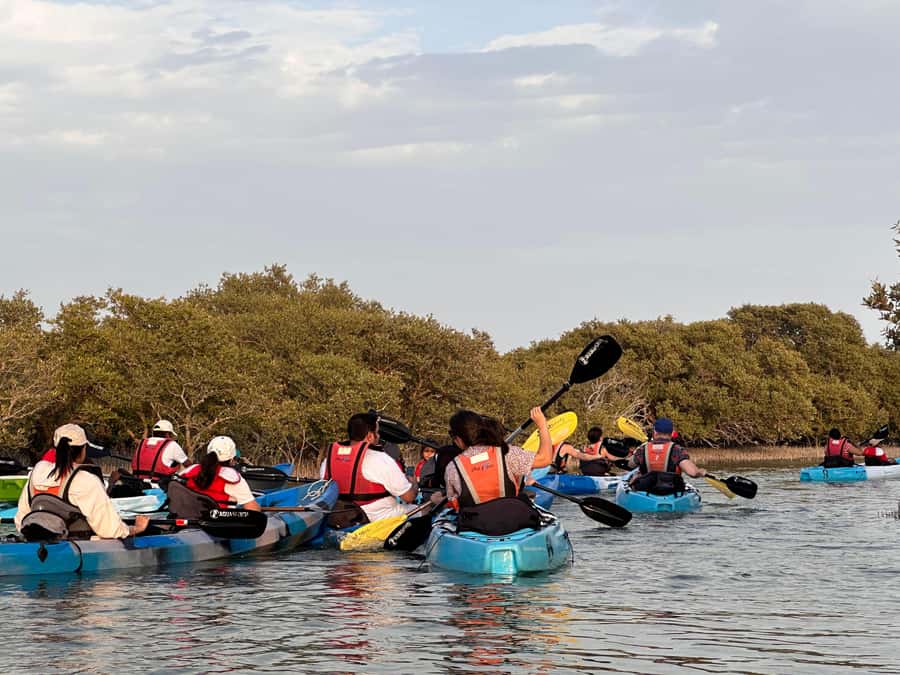 Discover Purple Island | Guided Mangrove Kayaking Experience - The camp, refreshments, and sunset time