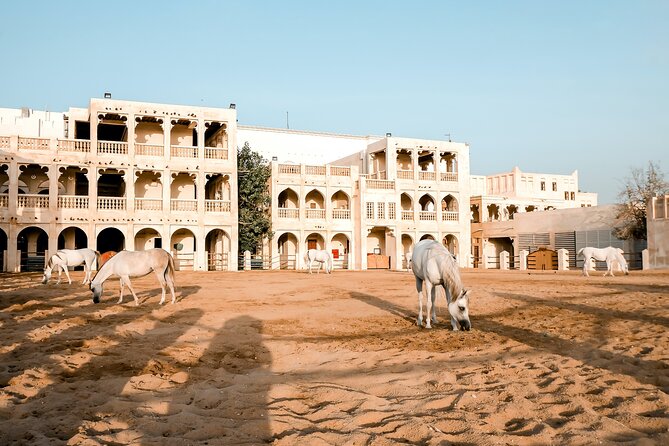 Discovering Doha Qatar | Guided City Tour | Half Day - Pausing at the Dhow Harbour