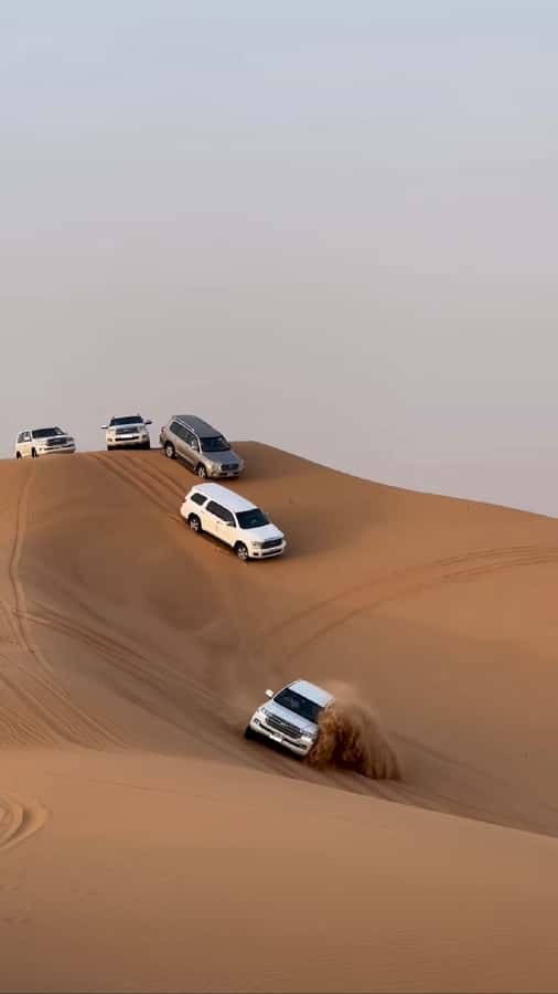 Doha Activities: Desert Safari, Dune Bashing & Inland Sea - Key points to know before you book