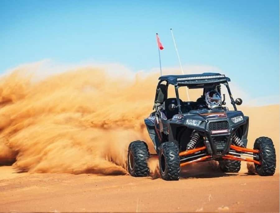 Doha Adventure Quad Bike Safari, Camel Ride & Refreshments - Is $48 a fair price?